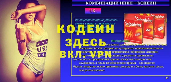 хмурый Алексин