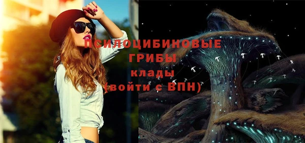 дурь Алексеевка