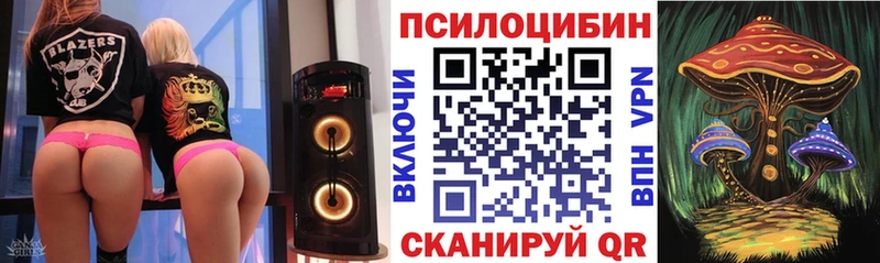 купить сайты Собинка Галлюциногенные грибы Psilocybe